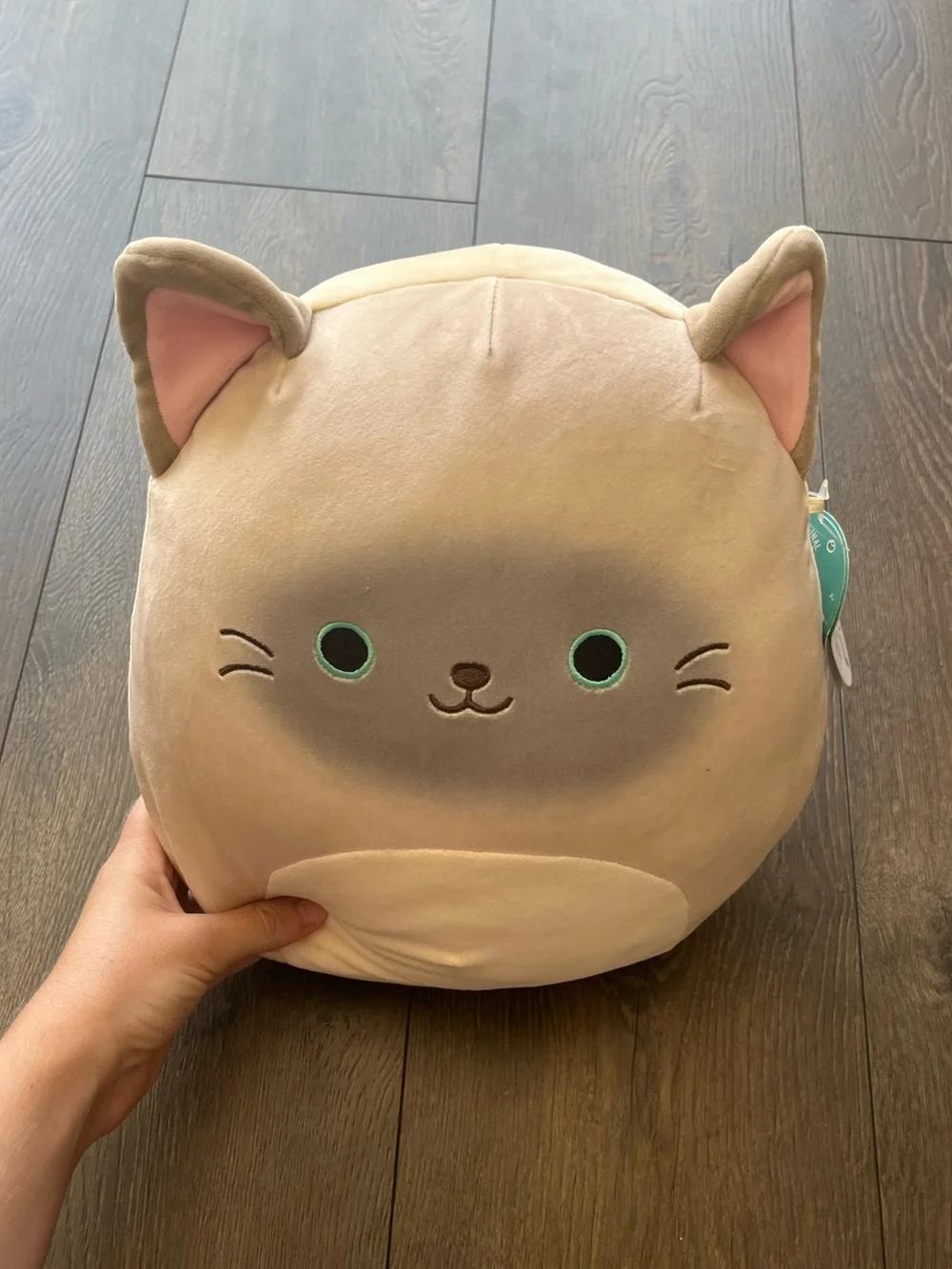 Squishmallows Cat Plush Stuffed Animal